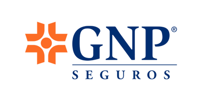 GNP