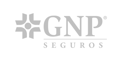 logo-gnp-g